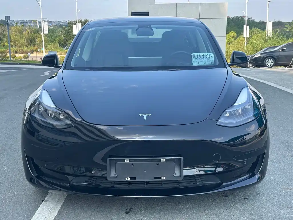 Tesla Model 3 — миниатюра 2