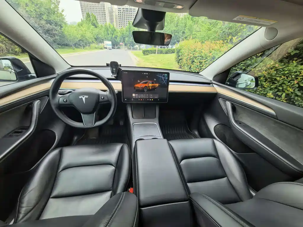 Tesla Model Y — миниатюра 4