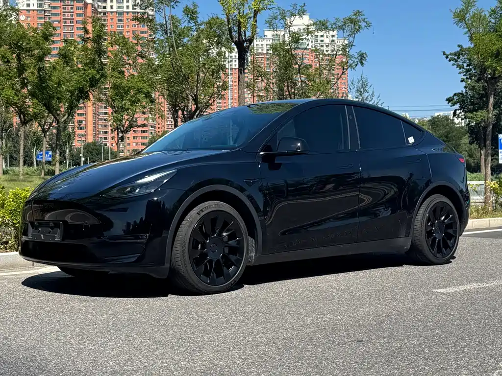 Tesla Model Y — миниатюра 2