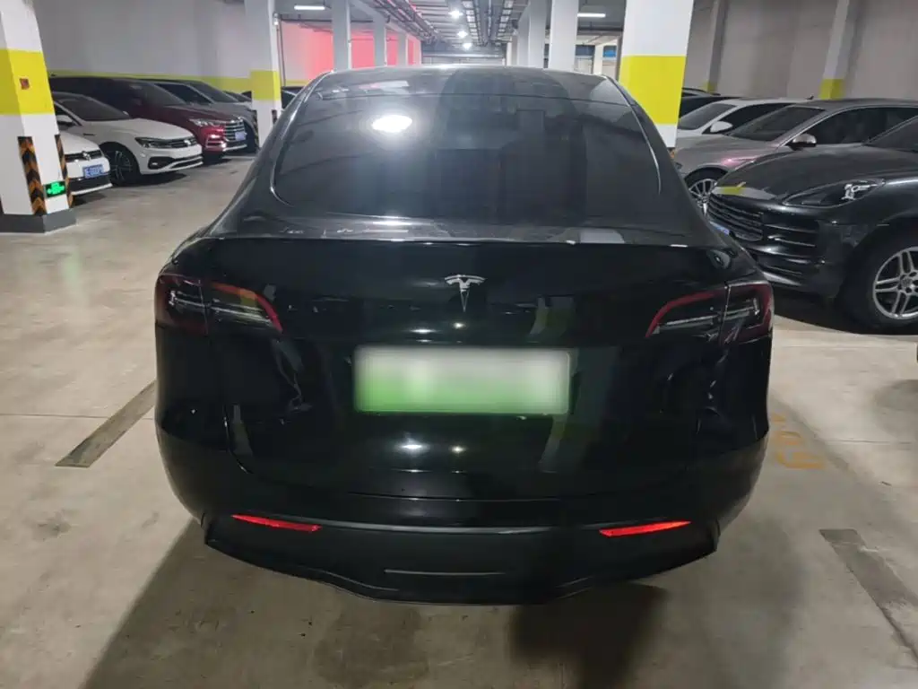 Tesla Model Y — миниатюра 6