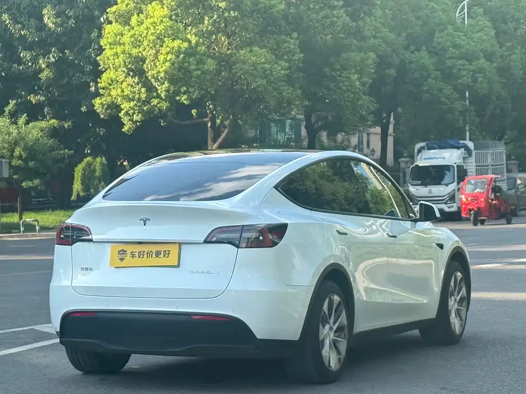 Tesla Model Y — миниатюра 11
