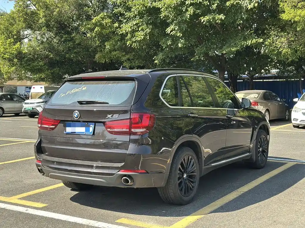BMW X5 (Import) — миниатюра 5