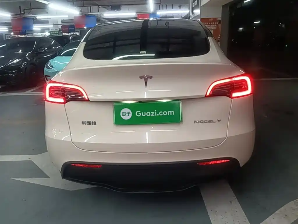 Tesla Model Y — миниатюра 6