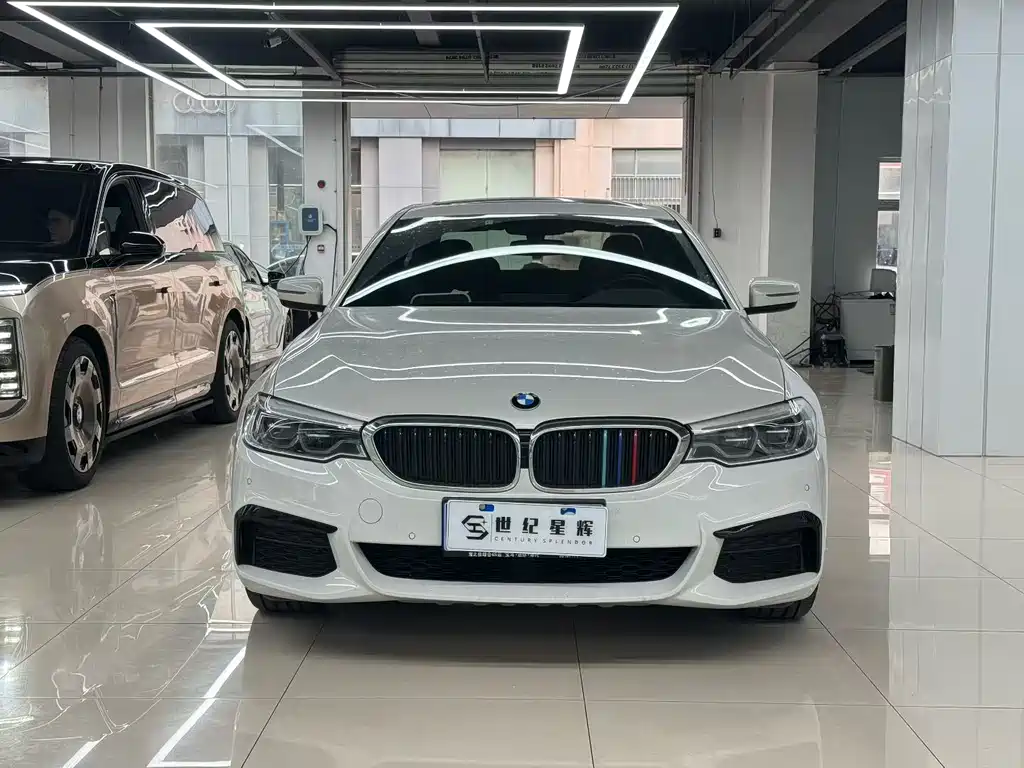 BMW 5 Series — миниатюра 2