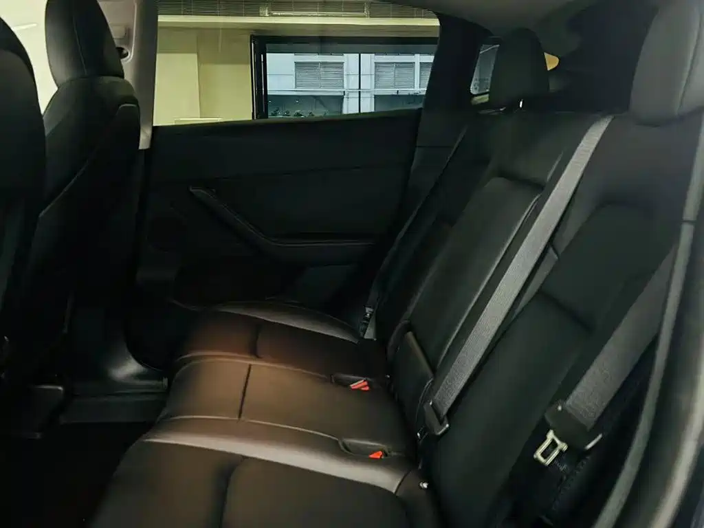 Tesla Model Y — миниатюра 9