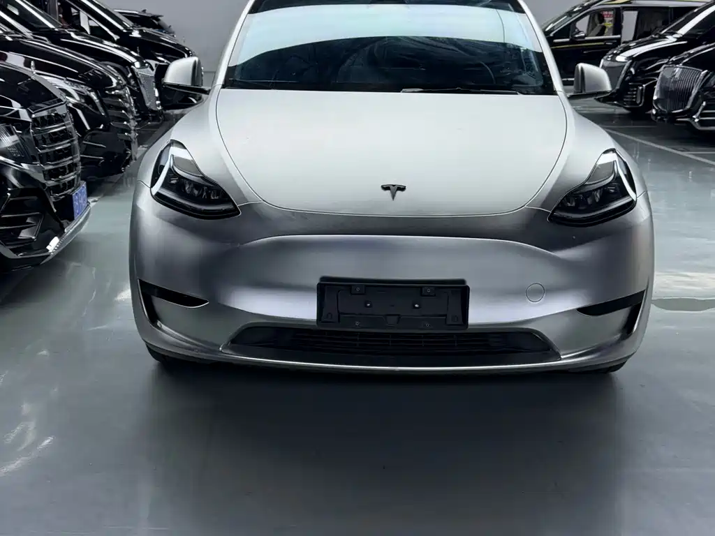 Tesla Model Y — миниатюра 3