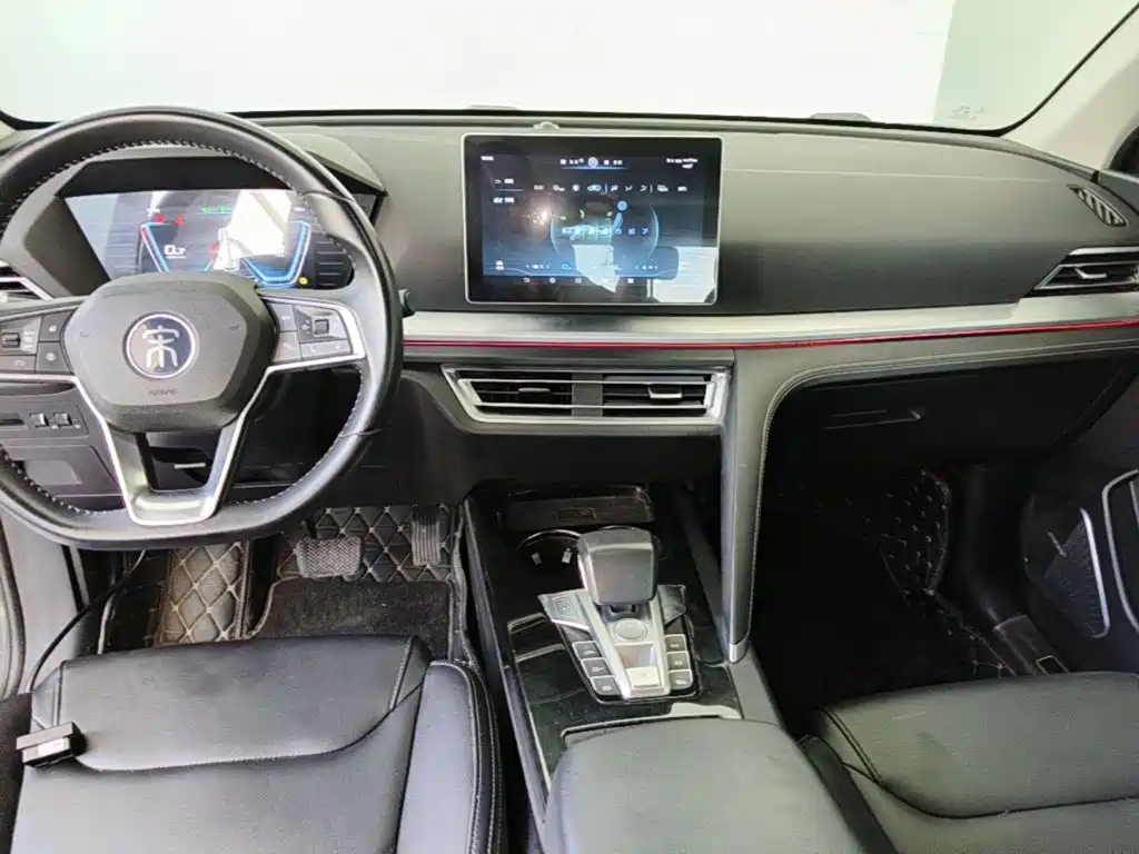 BYD Pro — миниатюра 10