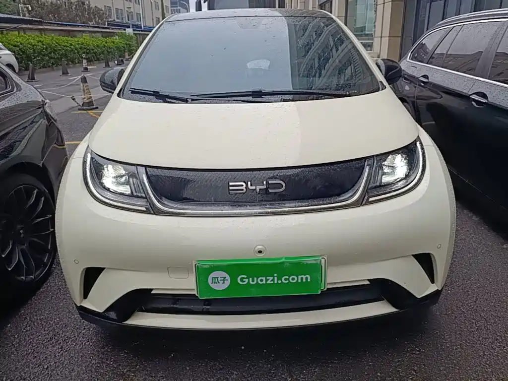 BYD Dolphin — миниатюра 3