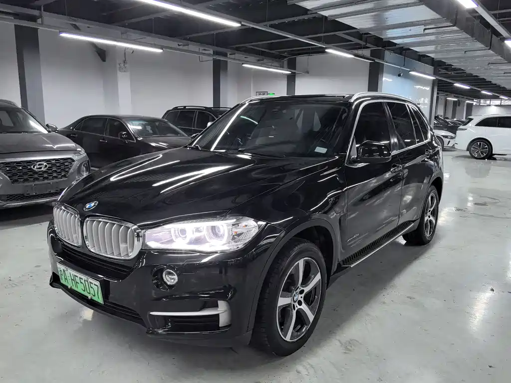 BMW X5 New Energy (Import) 2016