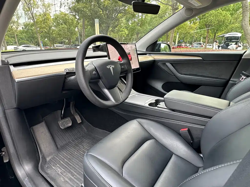 Tesla Model Y — миниатюра 10
