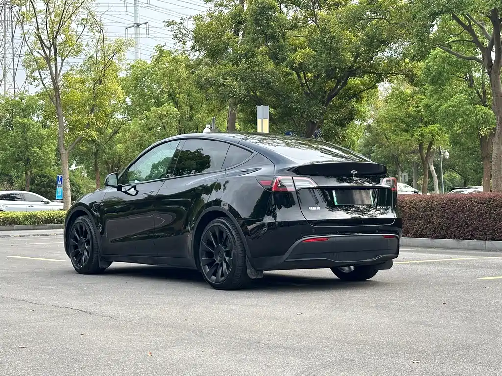Tesla Model Y — миниатюра 6