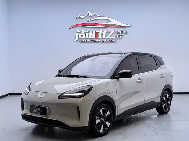 2025 Wuling Motors Binguo