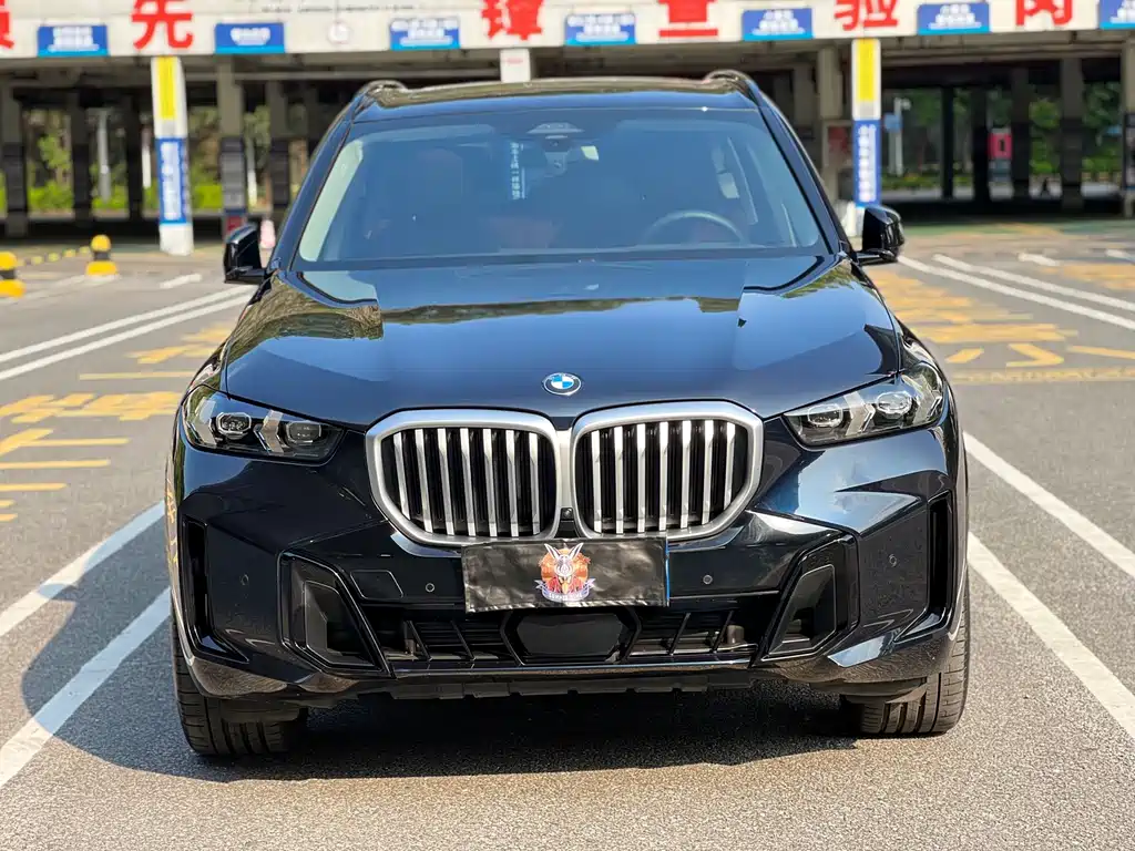 BMW X5 — миниатюра 4