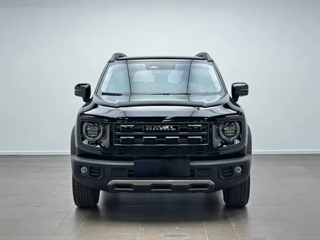 Haval Big Dog — миниатюра 2