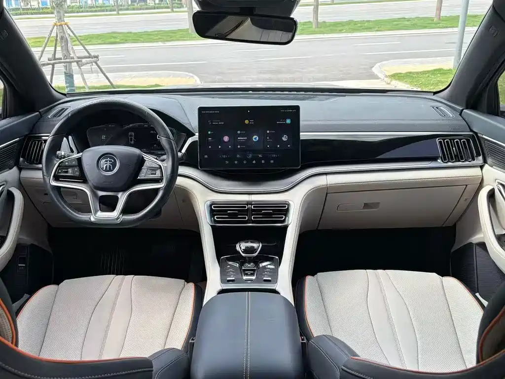 BYD PLUS — миниатюра 5