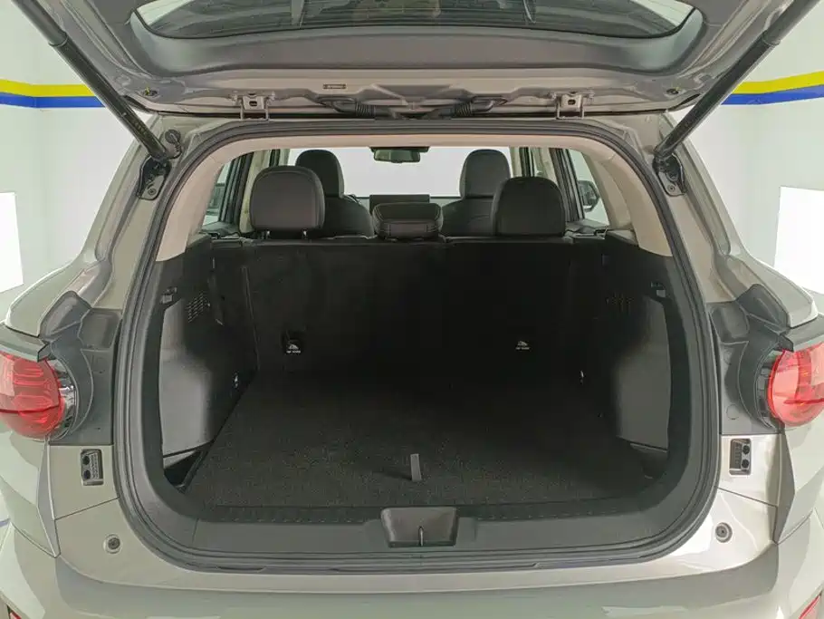 Haval Haval Big Dog PLUS — миниатюра 4