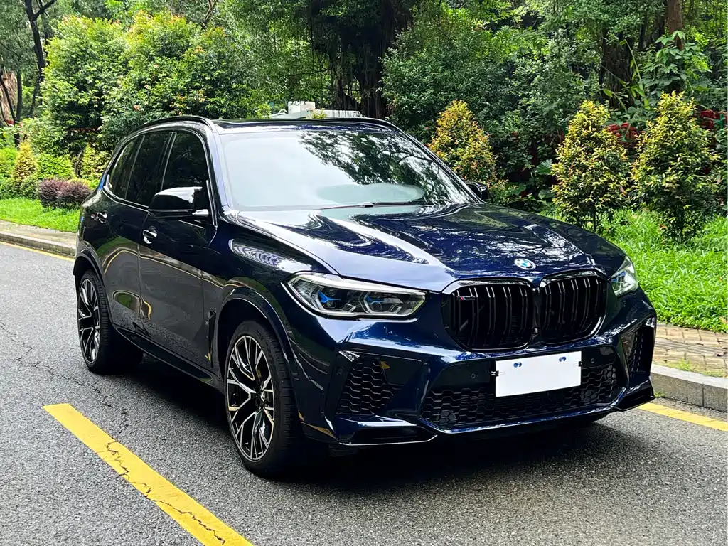 BMW X5 M — миниатюра 3