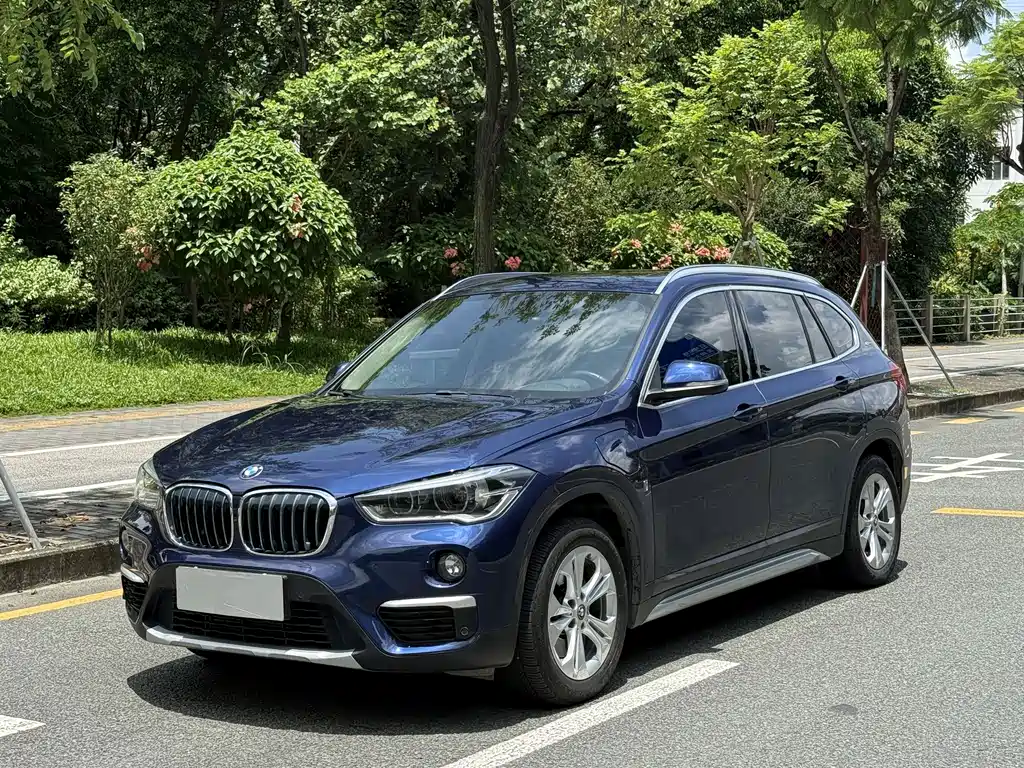 BMW X1 New Energy