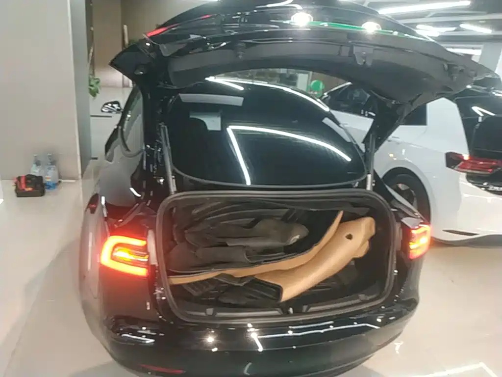 Tesla Model 3 — миниатюра 19