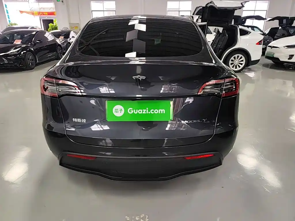 Tesla Model Y — миниатюра 6