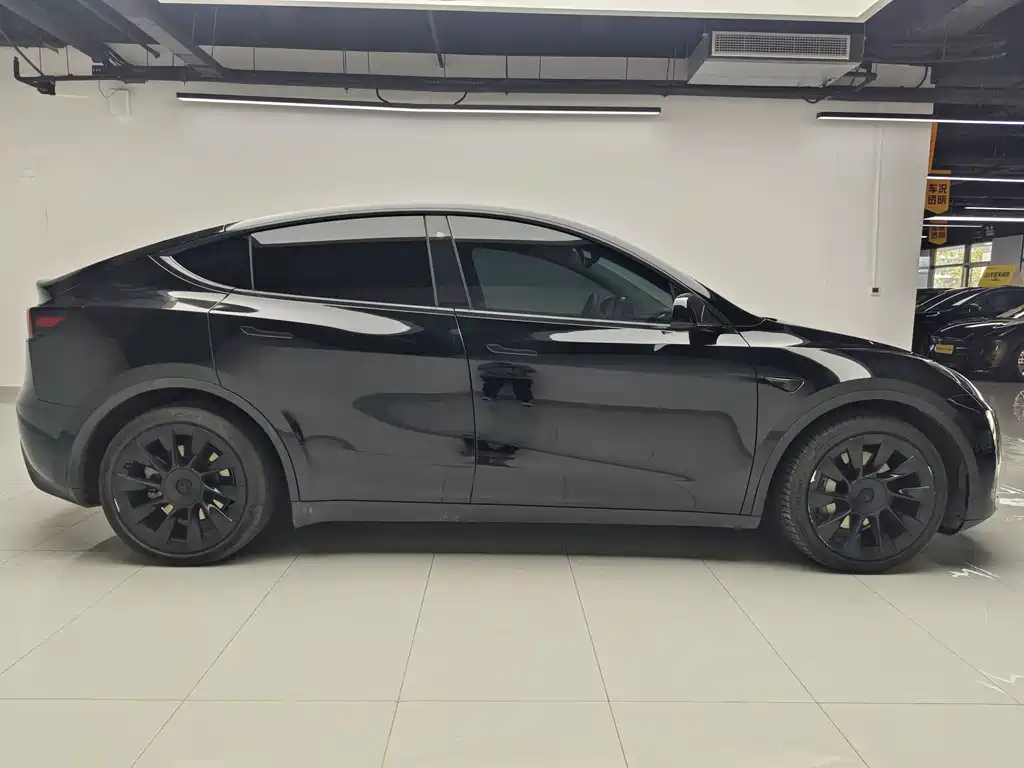 Tesla Model Y — миниатюра 8