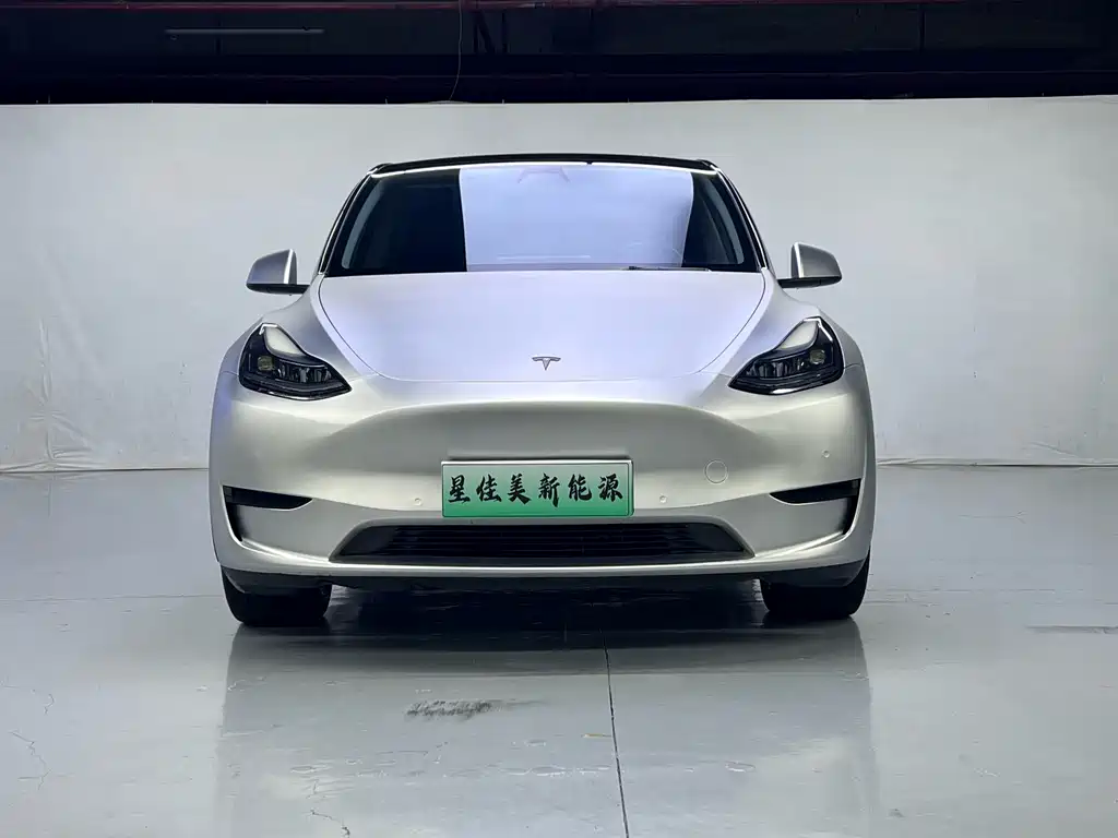 Tesla Model Y — миниатюра 2