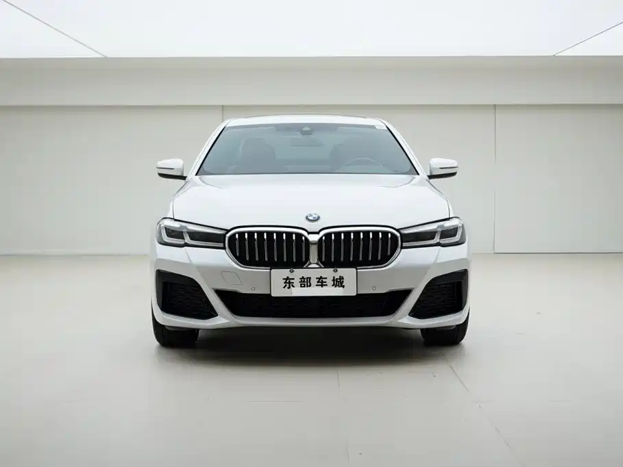 BMW 5 Series — миниатюра 2