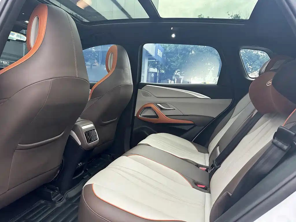 BYD Pro New Energy — миниатюра 8