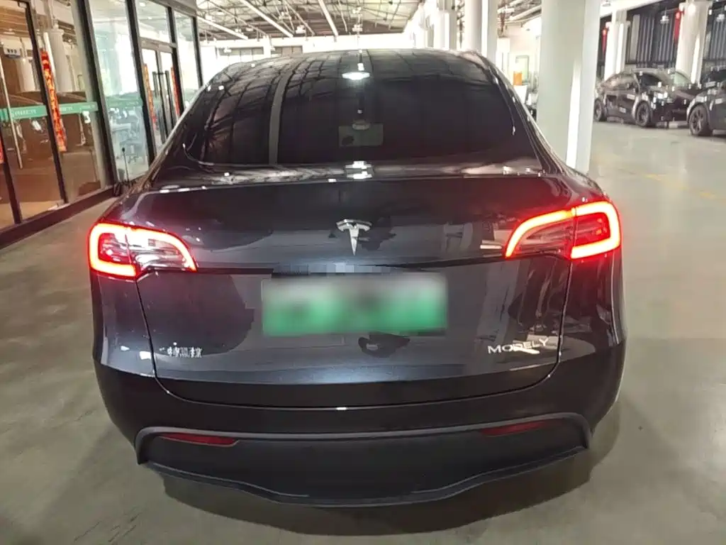 Tesla Model Y — миниатюра 6