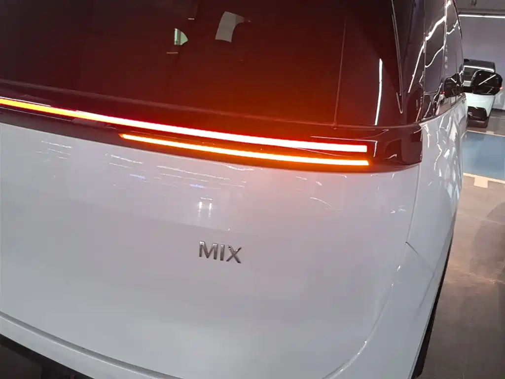 Zeekr Mix 2025 Smart Drive