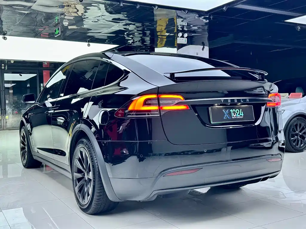 Tesla Model X — миниатюра 5