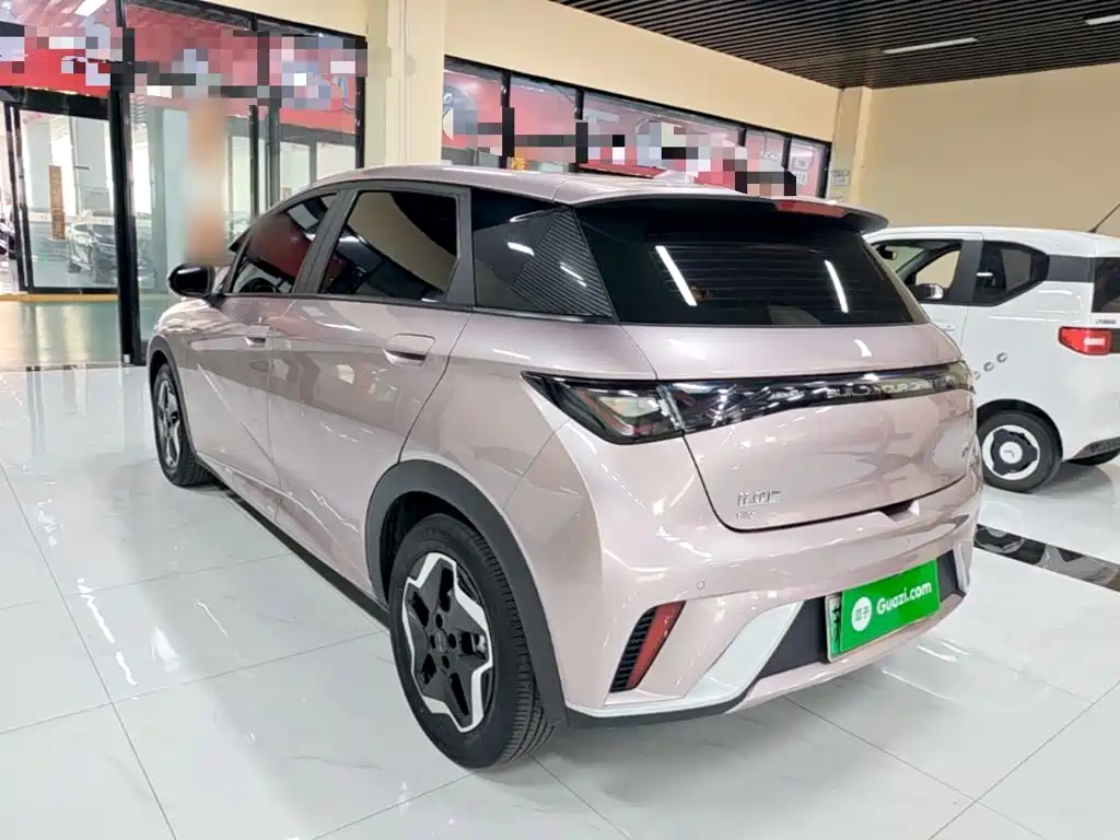 BYD Dolphin — миниатюра 5
