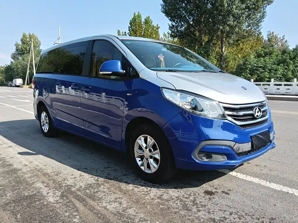 Maxus G10 2014 2.0T AT Luxury Executive