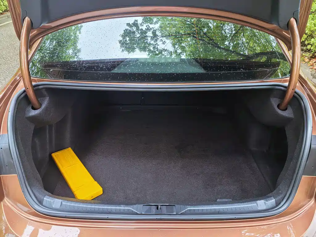 Volkswagen Lamando — миниатюра 13