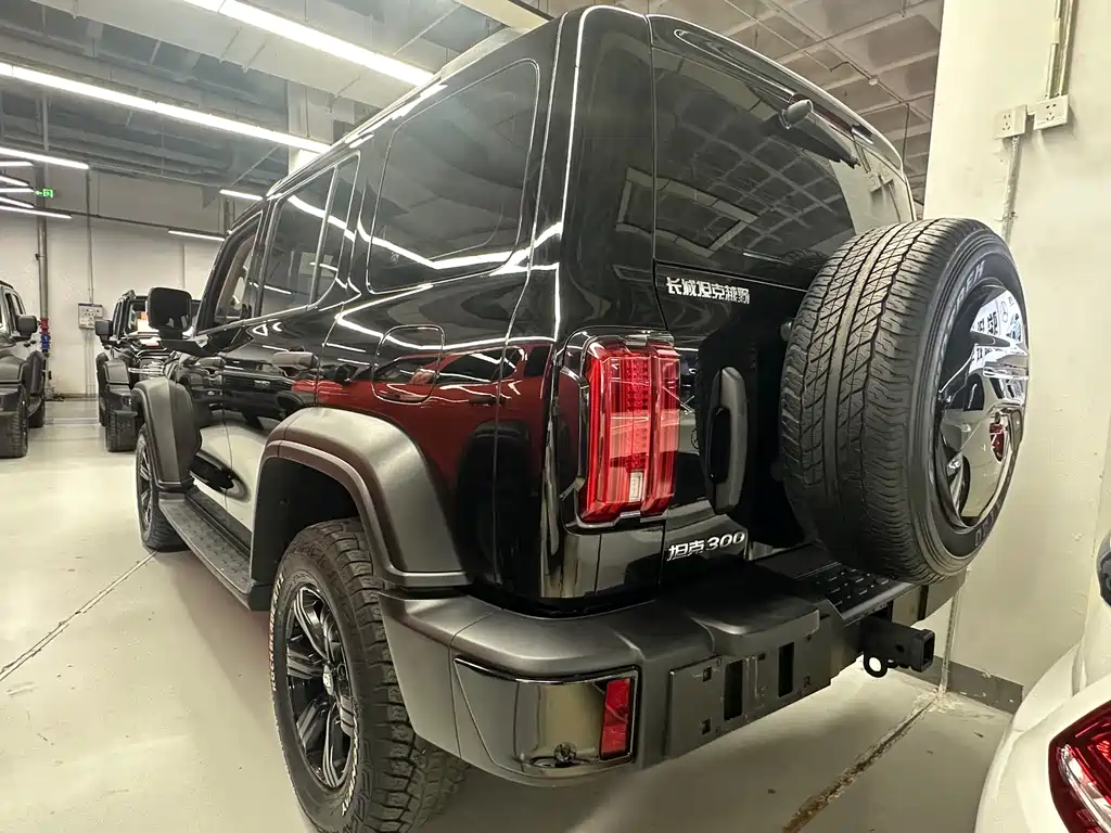 Tank 300 2024 2.0T