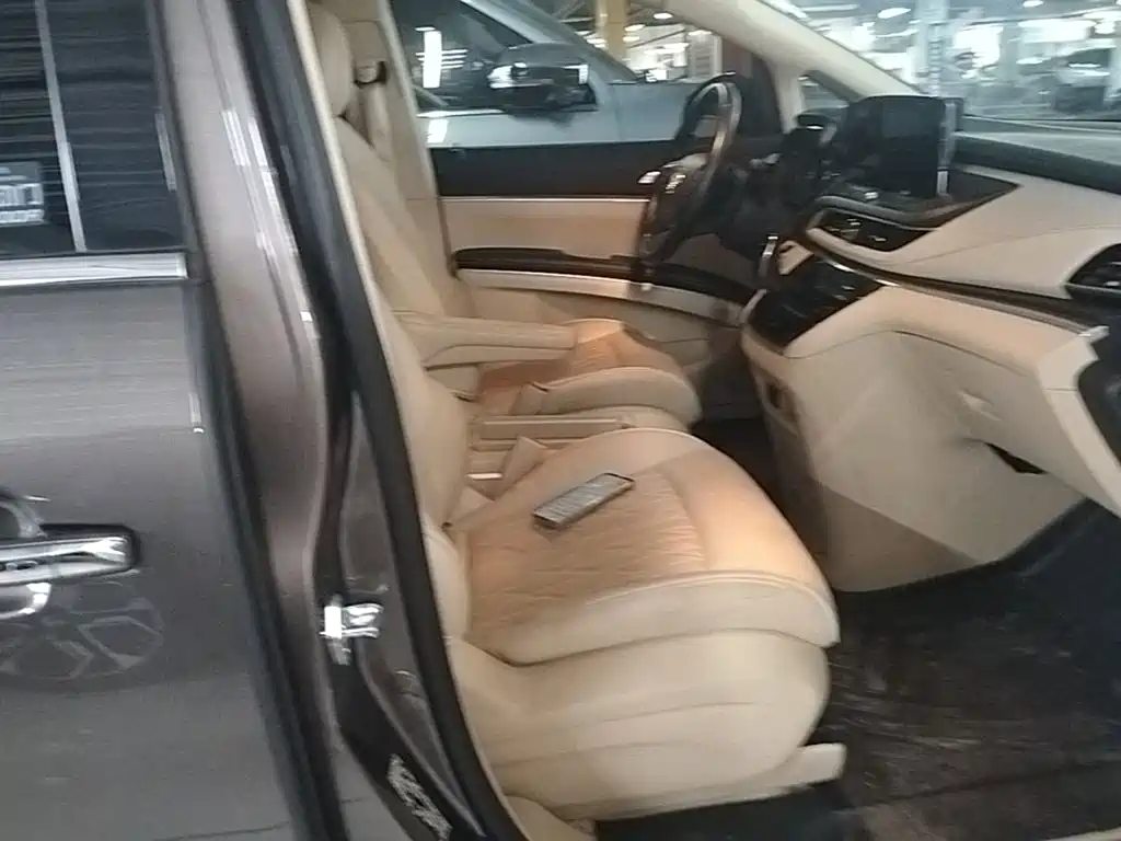 Buick GL8 — миниатюра 25