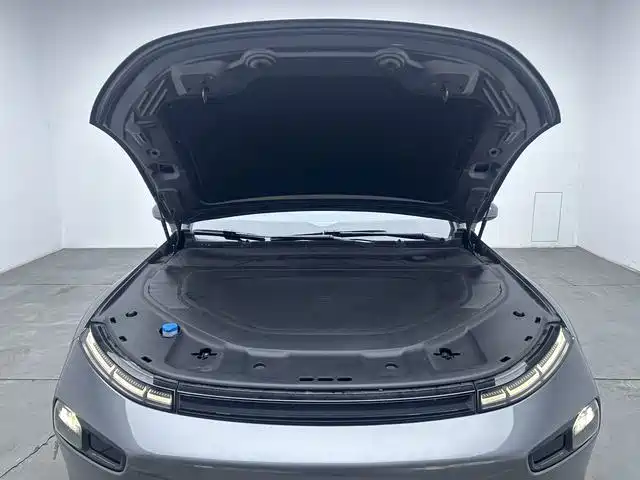 XPeng P7 — миниатюра 14