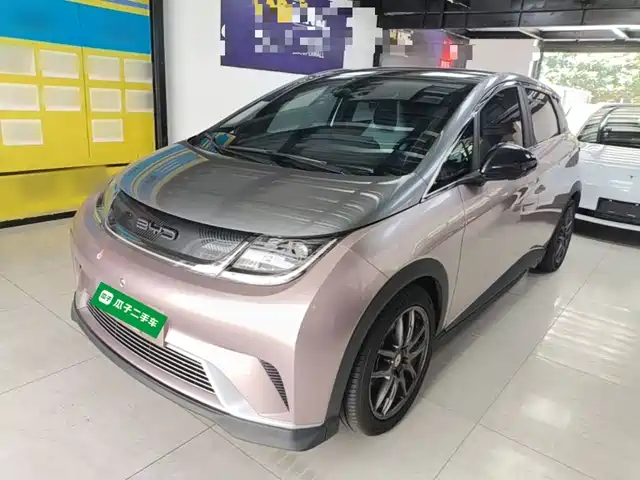 2022 BYD Dolphin