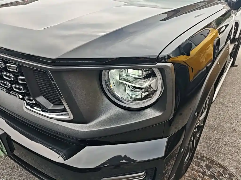 Haval Big Dog PLUS New Energy — миниатюра 24