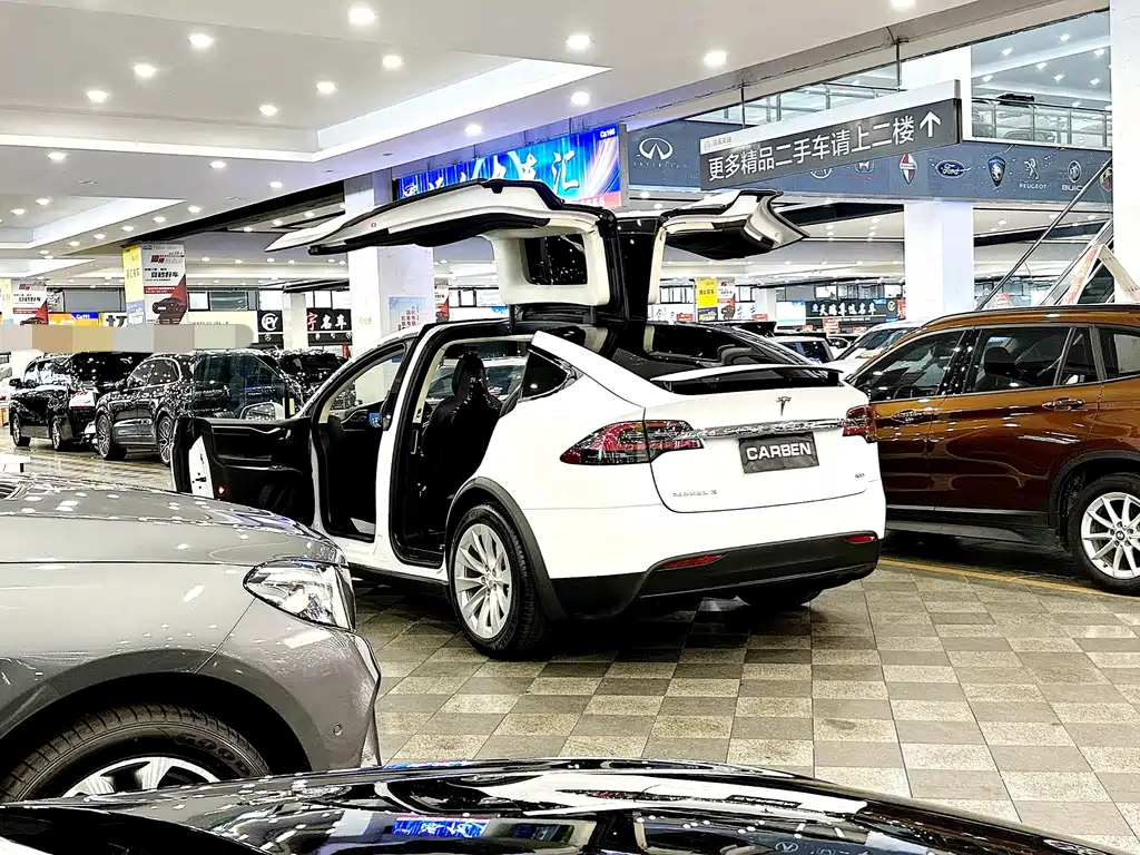 Tesla Model X — миниатюра 3