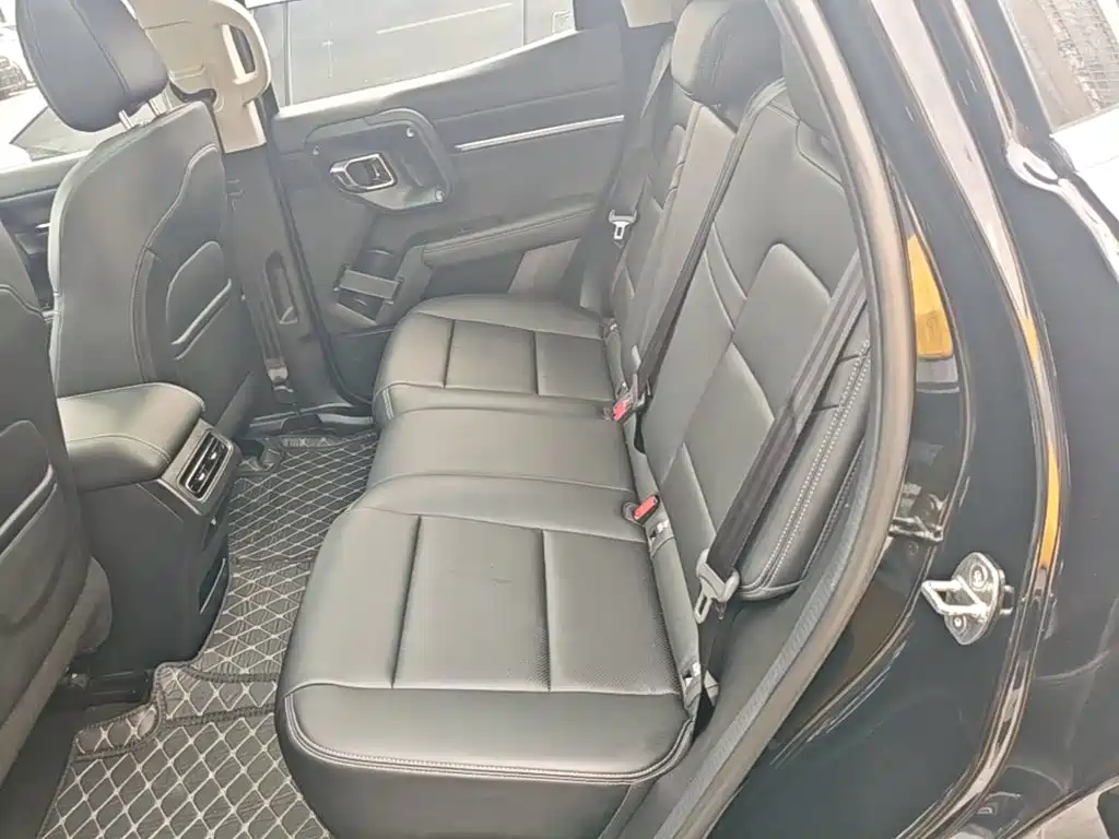 Haval Big Dog PLUS New Energy — миниатюра 17