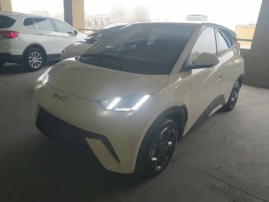 BYD Seagull