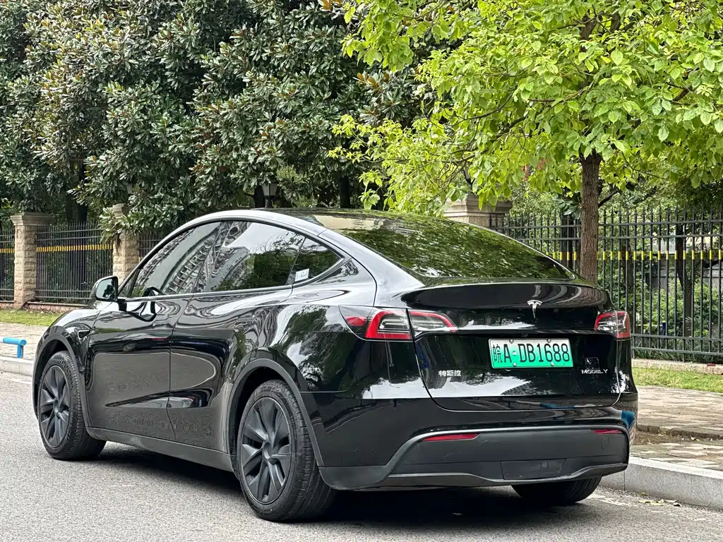Tesla Model Y — миниатюра 17