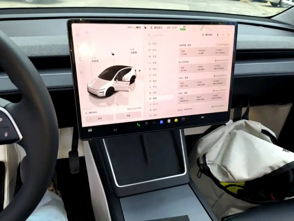 Tesla Model Y — миниатюра 13