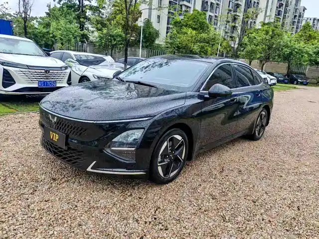 2024 Wuling Motors Starlight