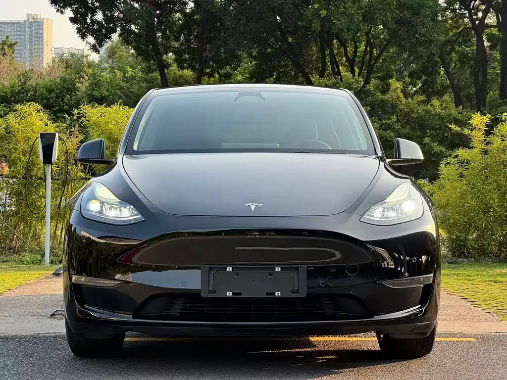 Tesla Model Y — миниатюра 2