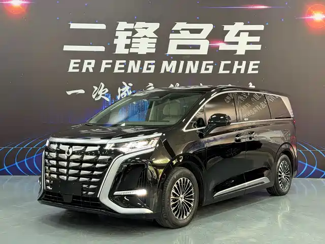 Denza D9