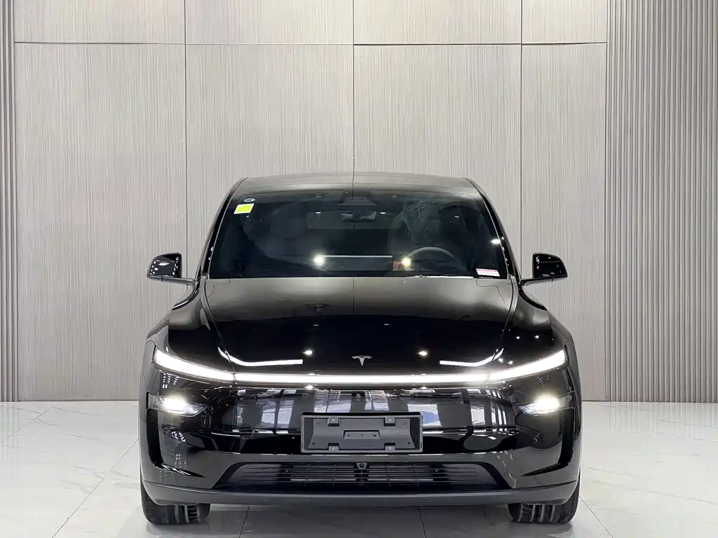 Tesla Model Y — миниатюра 2
