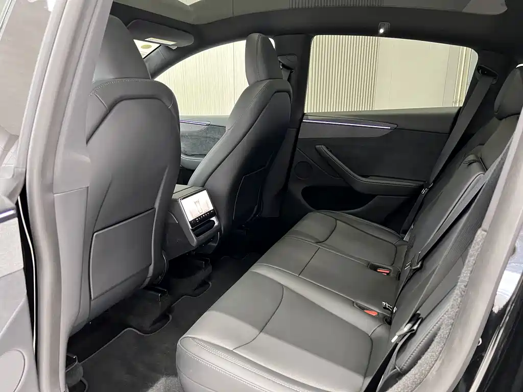 Tesla Model Y — миниатюра 5