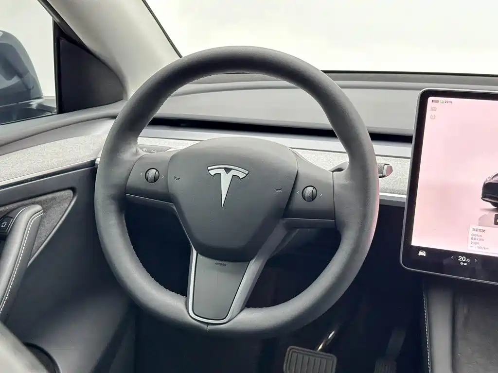 Tesla Model Y — миниатюра 19